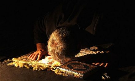چیزهایی که سجده بر آن ها صحیح است