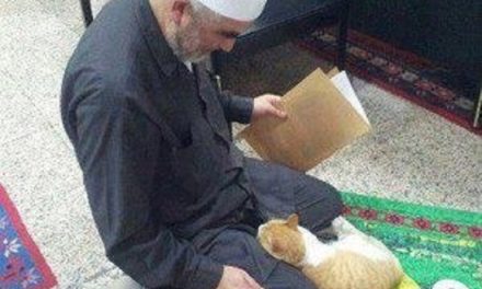 حکم وجود موی حیوان حرام گوشت در لباس نمازگزار