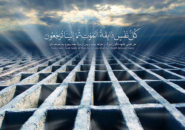 خمس قبر خريدارى شده